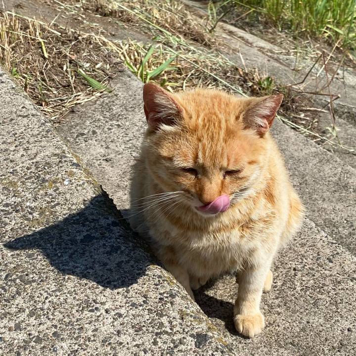 B49eaa81 6073 4a6e a573 36948004eccd 1653743032037