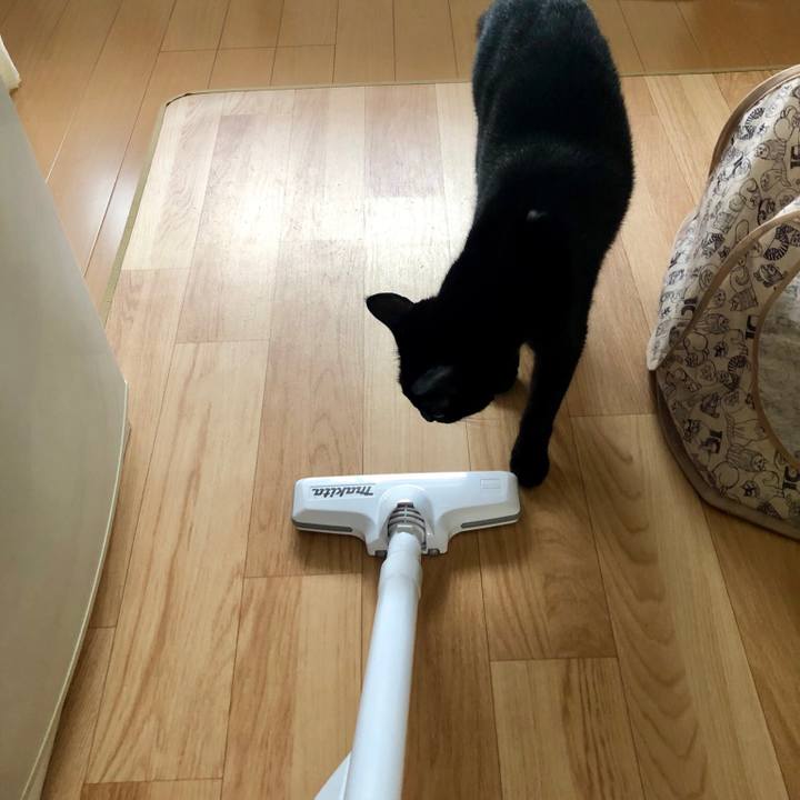 B49ecde9 c0ab 43e4 88ee 38c1e0383fbf 1534043112768