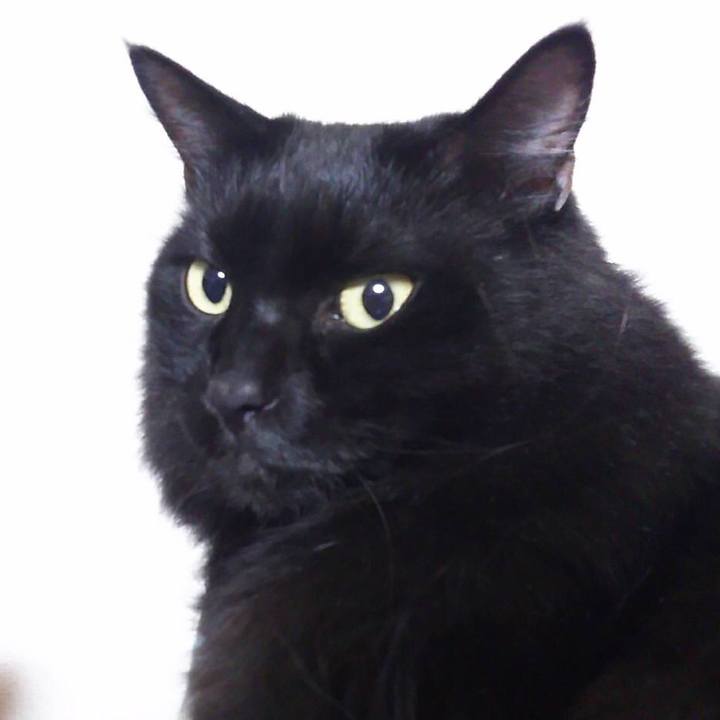 B49ede63 f203 401e bff4 28d1185275f2 1509023846420