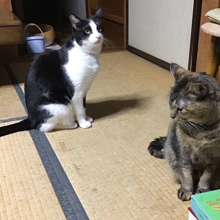 B49ee27c eb8a 4b41 a907 ff4c3d206f80 1758618548969