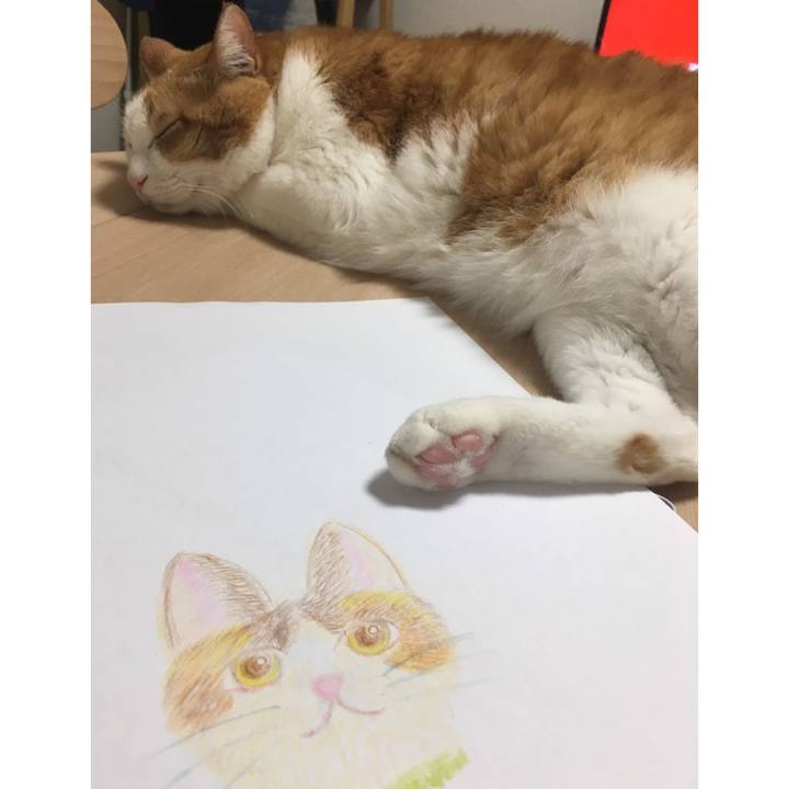 B49f3501 c785 4f4a 980e 1ab096d6ad3f 1586228338679