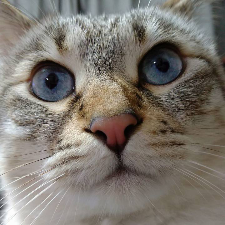 B49fba36 b143 4da0 a4ea 63e2df3a022c 1612608826551