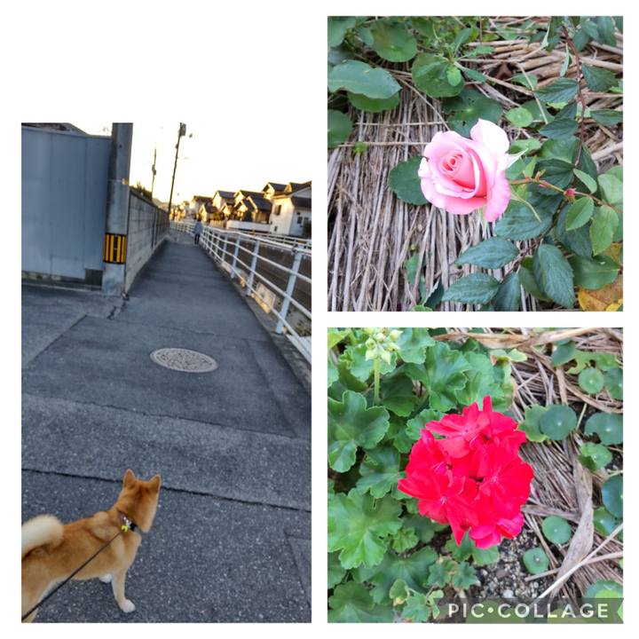 B49fef65 67bf 426f b7c4 5895db6a9a10 1699922901360