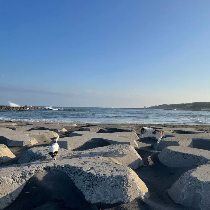 B4a0071a a722 48ea a7de 262019f50644 1729122999146