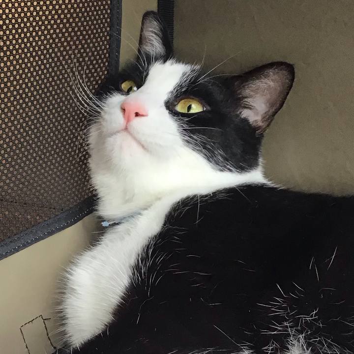 B4a00932 4ca6 4422 971b 82be20b40850 1719305970206