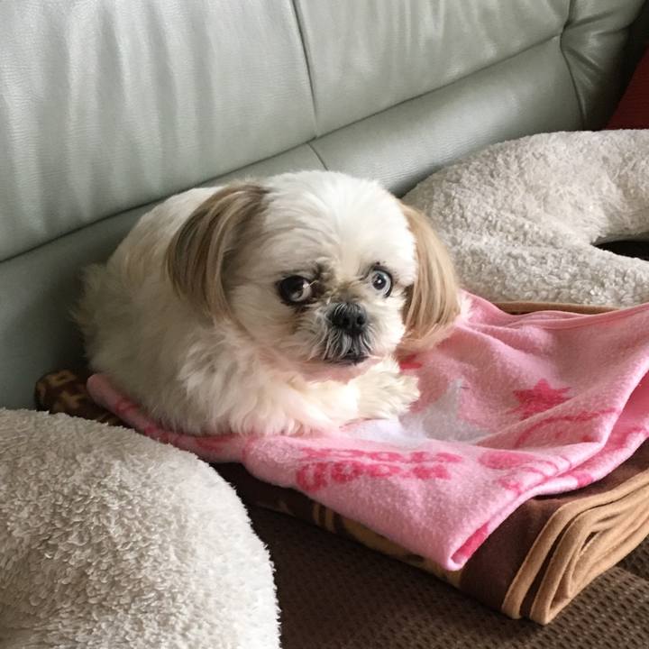 B4a00d21 7edc 43b0 baa5 b7881485fb19 1583797697189