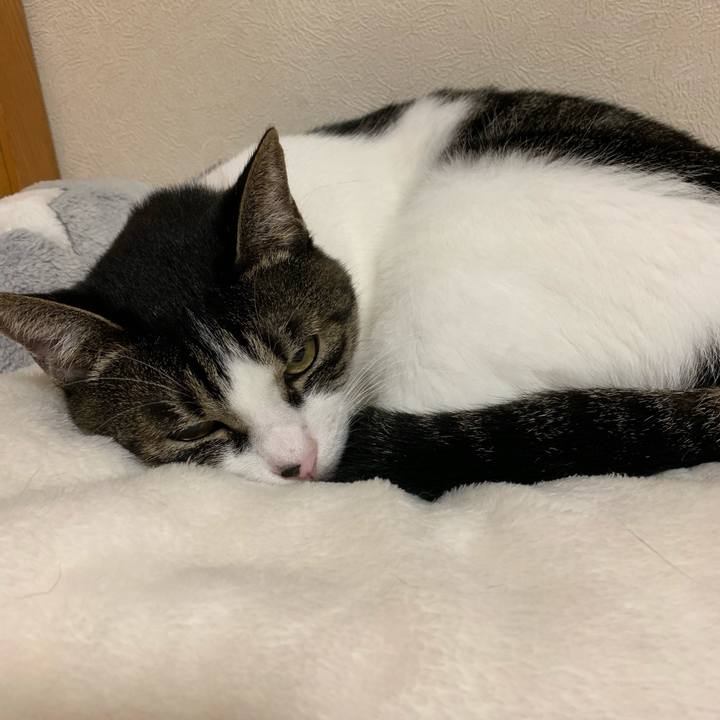 B4a01e9c 1ce9 4e43 9219 e0d016d69fc2 1540908024831