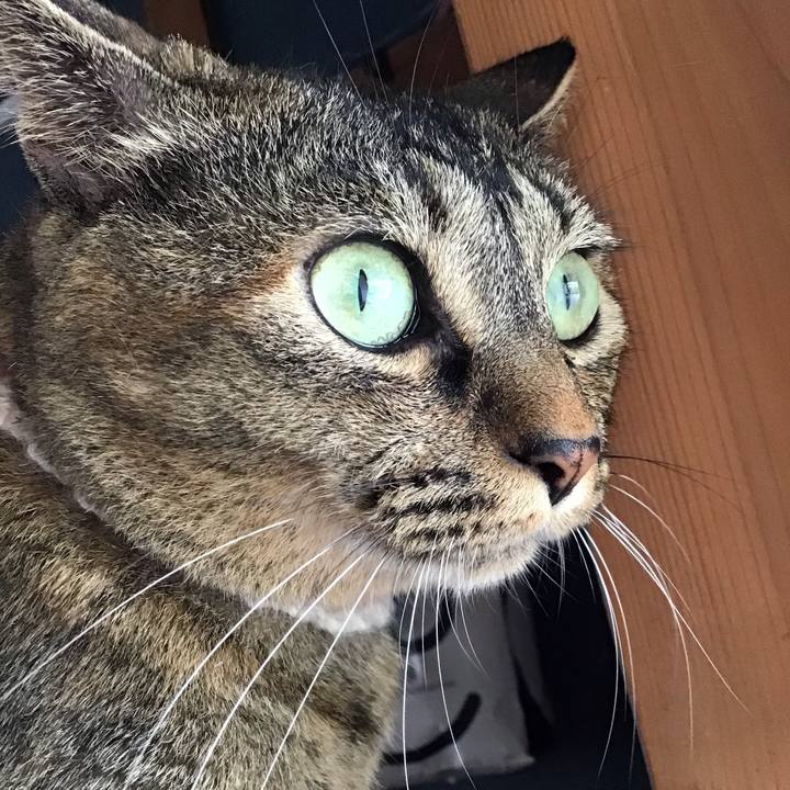 B4a0fb7b 3ceb 406b a82a 14ac2f79ad49 1661490576446