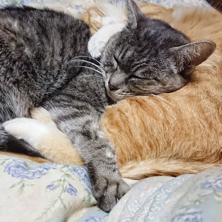 B4a10f25 54d4 42aa 819d 4b5d1b34f446 1582028818309