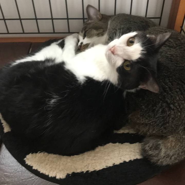 B4a118cd 3dd4 4392 95b6 511b324facba 1562980290281