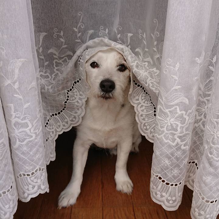 B4a156e9 f33d 4326 aadf f3dce5a8a070 1553297596841