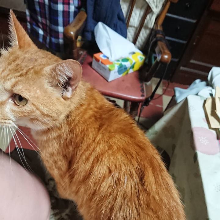 B4a19f95 858d 4864 80b1 5fb36070f7a8 1595589149741