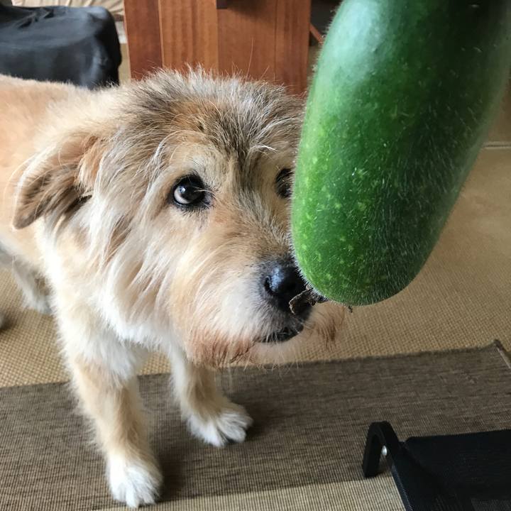 B4a1b2e1 db56 4634 aa80 e8116b8c1f81 1632474033951