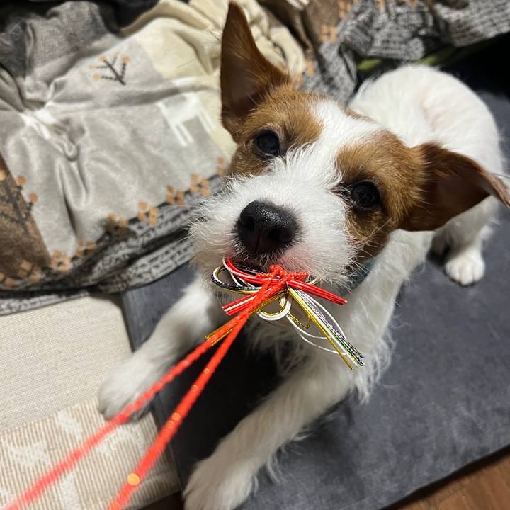 B4a1bcf2 c024 4a5b bf71 287a251bfc57 1767655771994