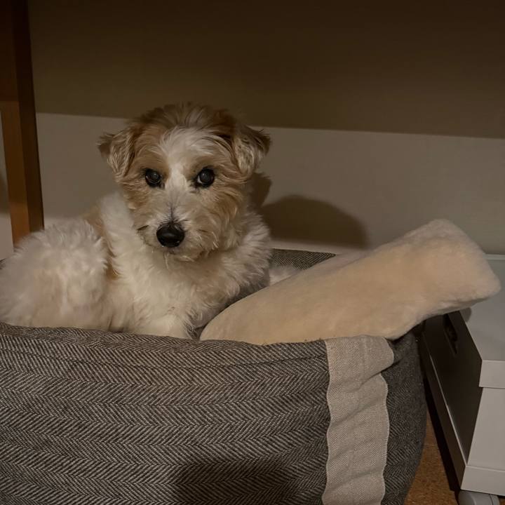 B4a20581 7eac 45f7 99ee 723056a24511 1769606978737