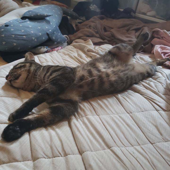 B4a225c5 5589 4aa1 8ac7 fb869b654727 1566961438380