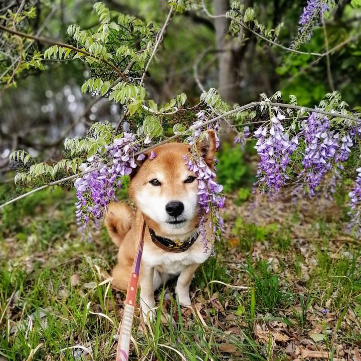 B4a275e2 8b63 43cf 961f 73af9bf7c798 1618727639972