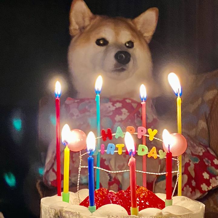 B4a2900e f92c 4115 968a 51e3e725344c 1610973146019