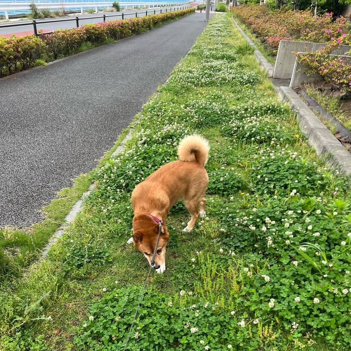 B4a2925a 7825 4bdd b13a b06c75379448 1747525462902