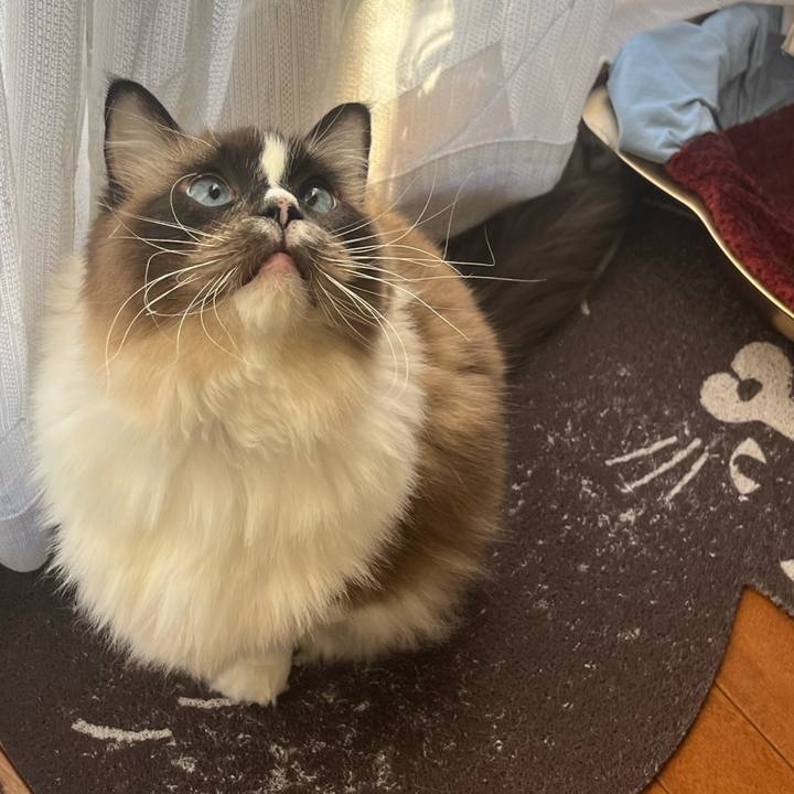 B4a2bc04 457b 4818 9b27 5382a70bd9f2 1708935813655