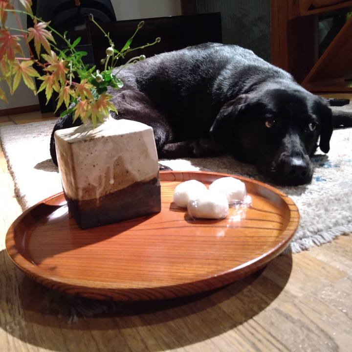 B4a2c59a 7b26 4806 827f a61682988ced 1601553180092