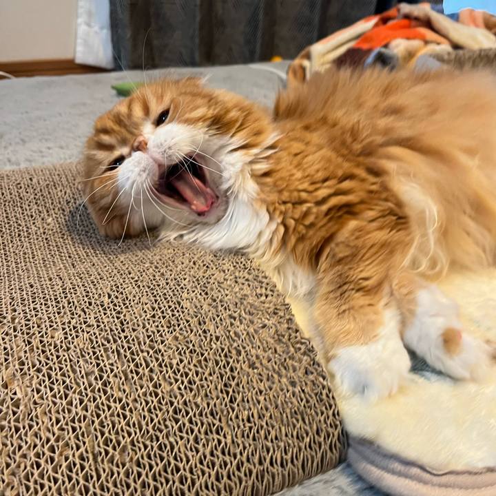 B4a2c806 9df2 42c0 b596 4bfa5a8f6a67 1765677086912