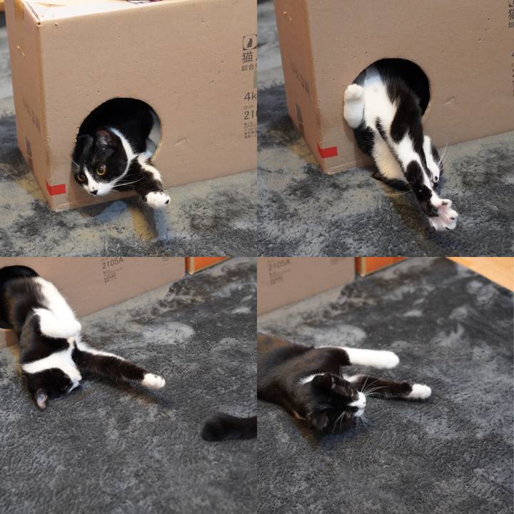 B4a2e7ae ee6b 4338 a92f 02a70cb5785b 1588056452516