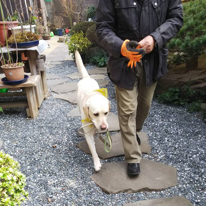 B4a2f444 56fb 4051 bf00 190a8d622f06 1550280257113