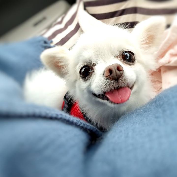 B4a30307 b4bc 45fb ba42 87f91843e2d1 1619905109604