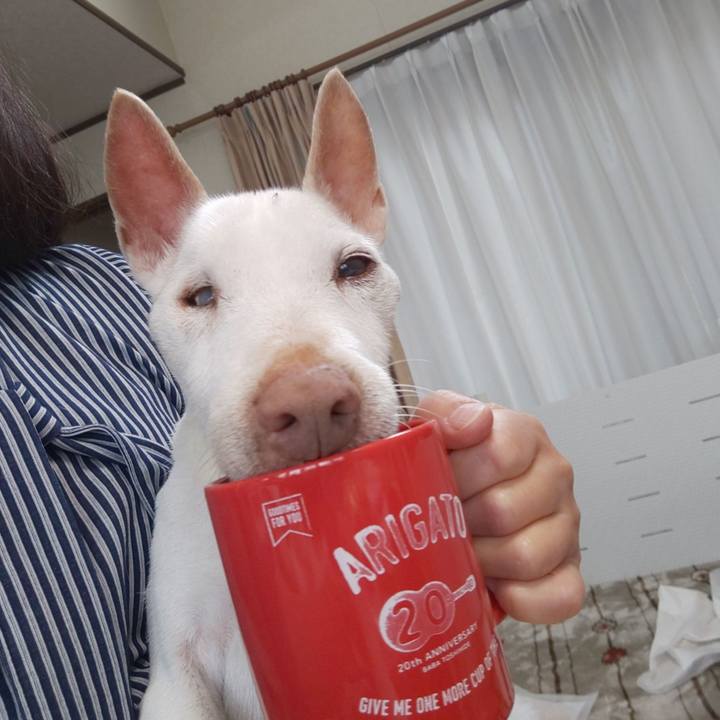 B4a31270 0d00 41ee 9da2 8fb24c08e5b1 1589499660022