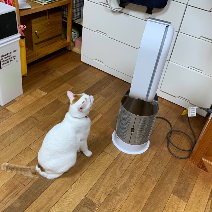 B4a3257a c1a7 477d 9507 aae19ecf305a 1568979943970