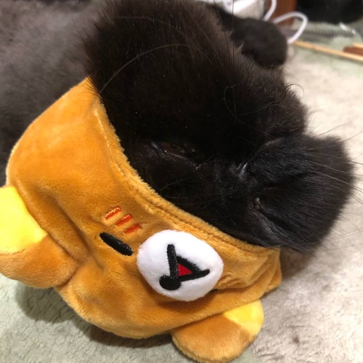 B4a3258e 4fbc 4755 8b99 4b5ecabc5550 1625920854316