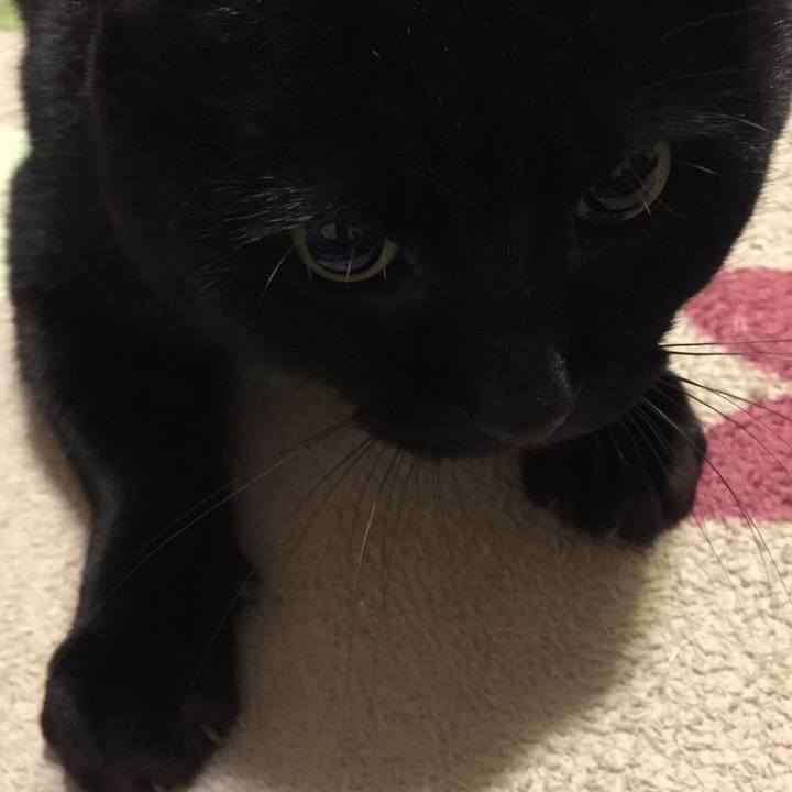 B4a32ceb 6658 416c 9c99 8eb3a3014851 1542109289640