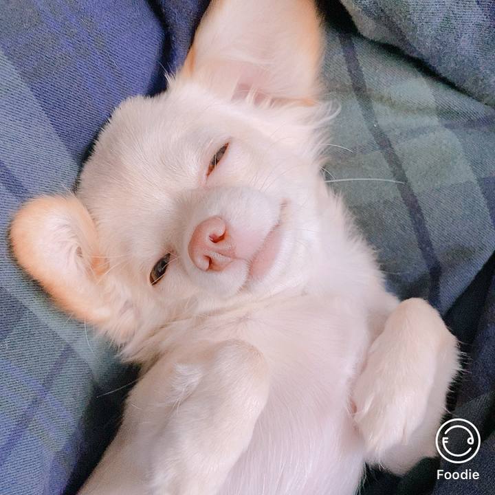 B4a33159 41fe 4514 a119 5ede3fccb56c 1599534976898