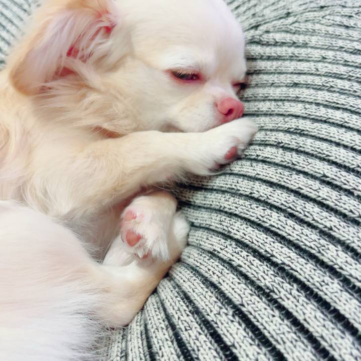 B4a37d7e 8c81 418d 916e 42c02e22996e 1684813091358