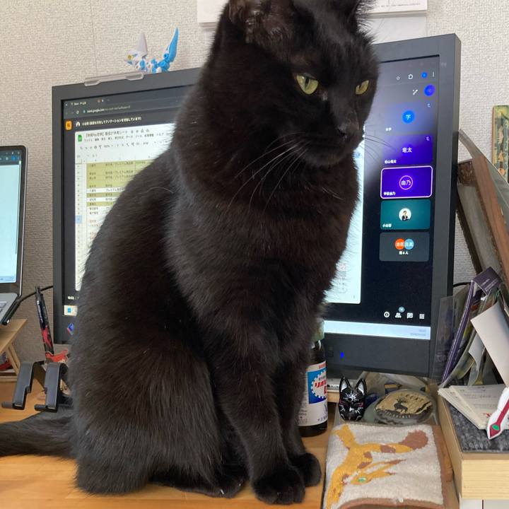 B4a38f70 3797 4844 8bd2 745a0fe62704 1773288832964