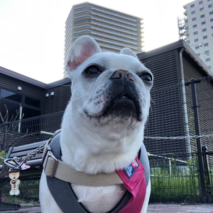 B4a3a0d9 b627 4afc 87f6 aaccb9a99a62 1683945841561