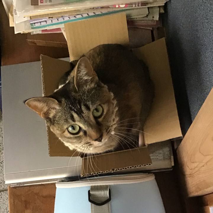 B4a3ba3d e41a 46f8 9238 25c842bb4c7f 1589616348979