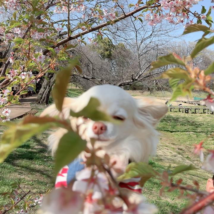 B4a3d681 5b38 466e b2da fad31ab6e8cb 1710591012295