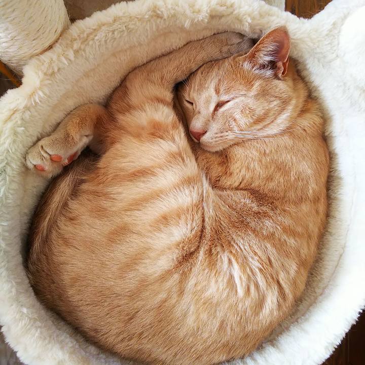 B4a43025 7693 4cc9 80a4 f051a49e50eb 1593732578480