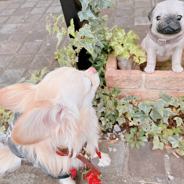 B4a44d70 a8e4 4343 8aa2 d6d071a195c6 1669977435737