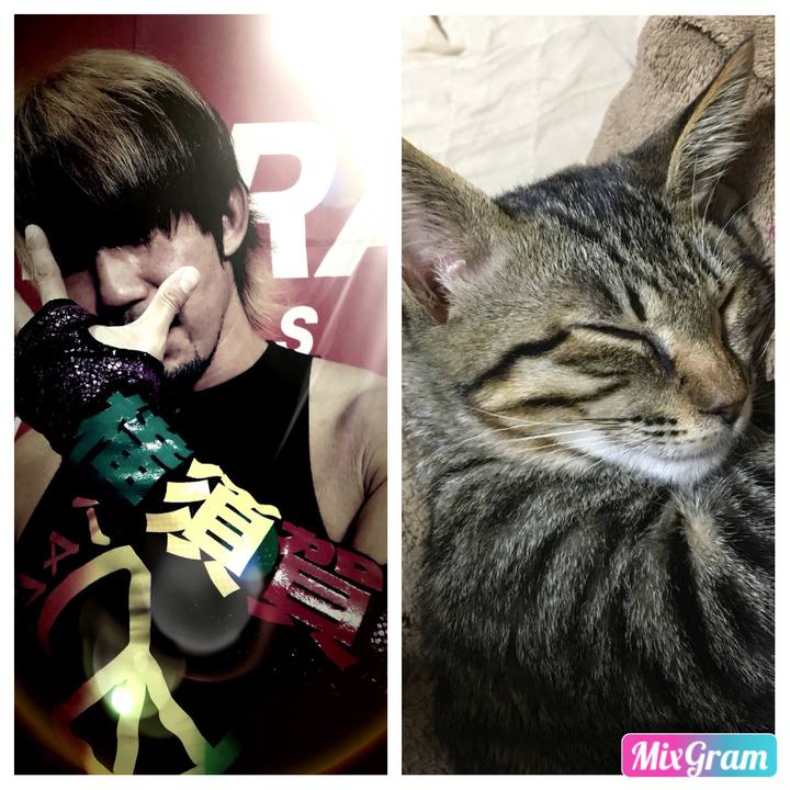 B4a46d76 69fa 4104 bcdf 64b8490bc843 1537447146047