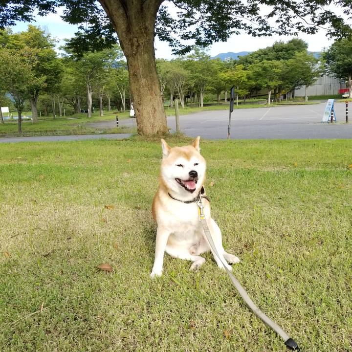 B4a47287 7357 4790 b882 d2045ee2f48b 1630999285569