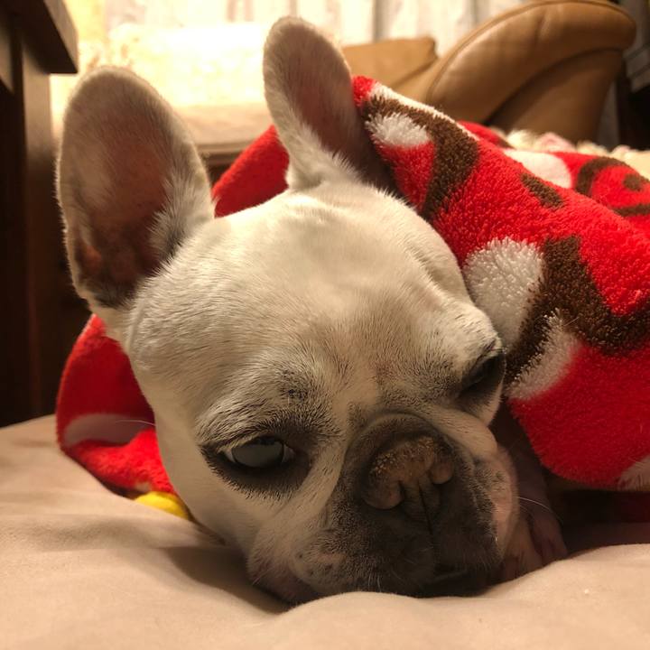 B4a49e15 9292 491f 9703 3688a99add09 1613915043438