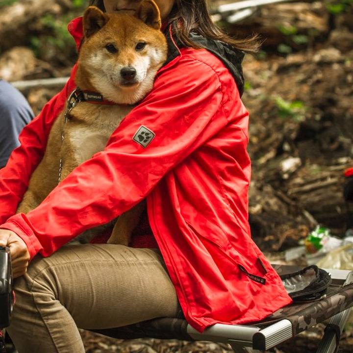 B4a4cff4 8837 4669 9eb2 76f8451c4670 1526596966863