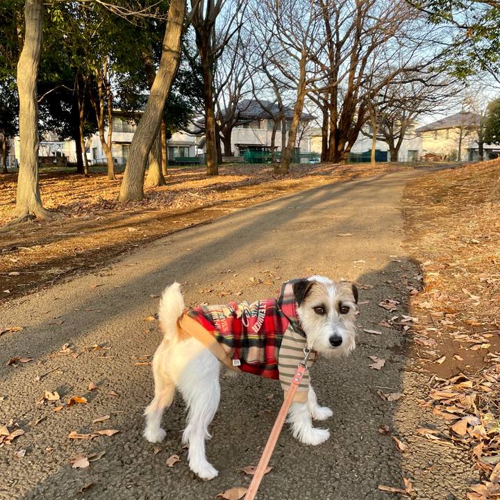 B4a4dded 7327 4e84 ac2e 3309ca9cbcea 1674031814977