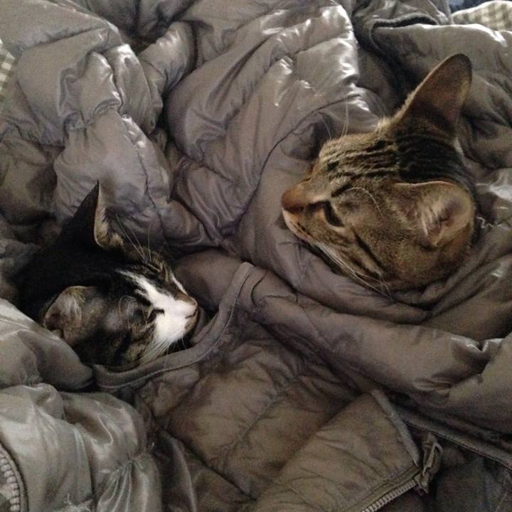 B4a4e83d da7b 449b a197 8c670f8d76e7 1511945157828