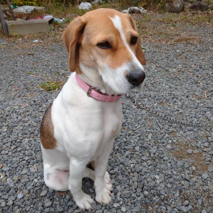 B4a51b69 6309 4aeb 874c e743b6b6e480 1577805383501