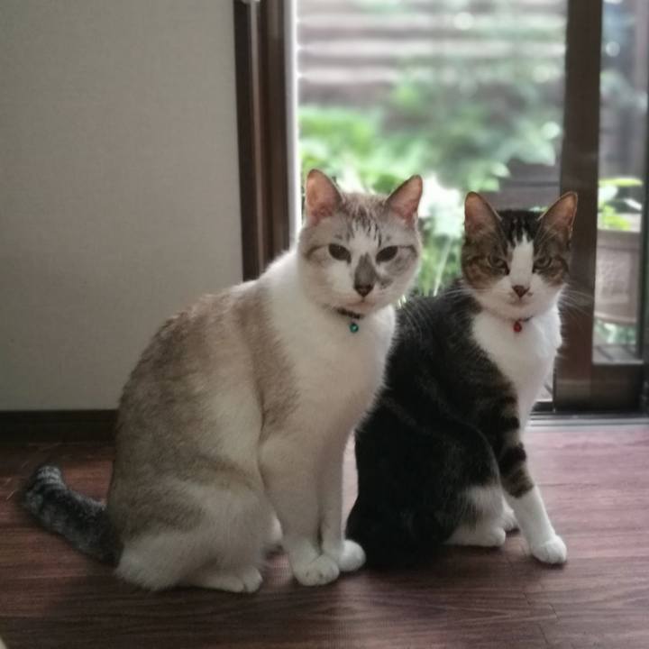 B4a564c2 1fce 4873 b482 6bd62ae8f0b4 1569915462077