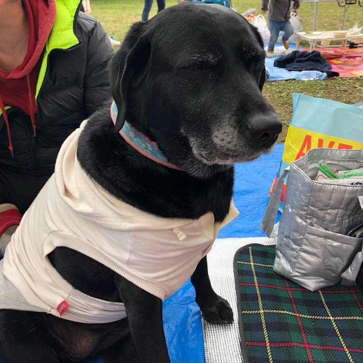 B4a5690b 9a41 4cd1 877f 11d3b2018495 1553935340998